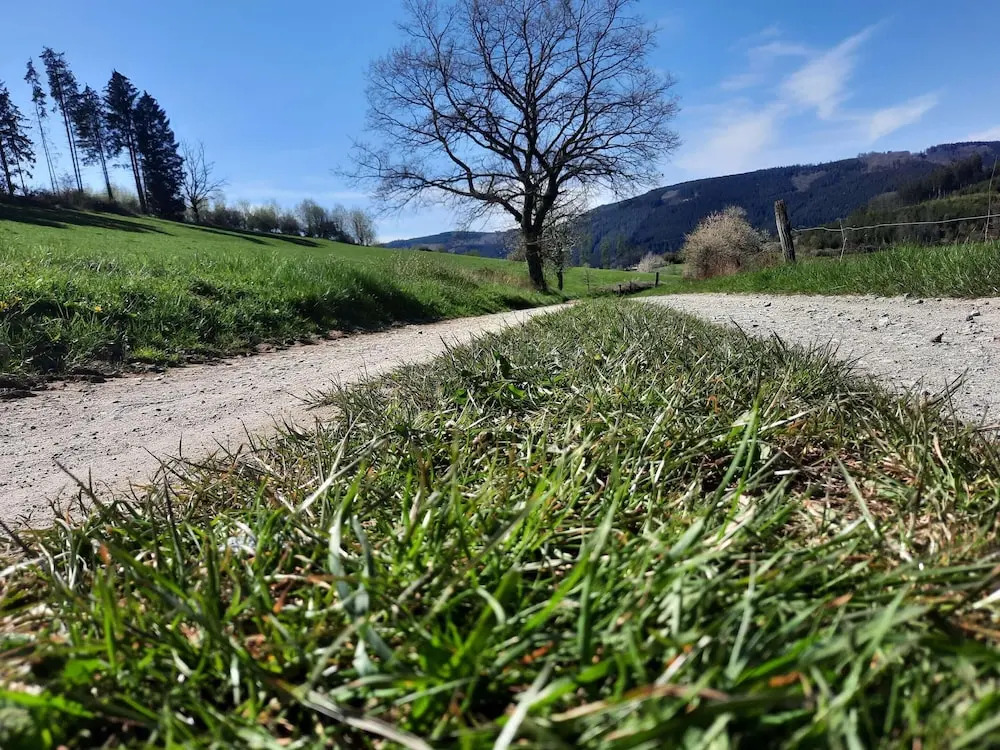Ferienwohnung im malerischen Eslohe