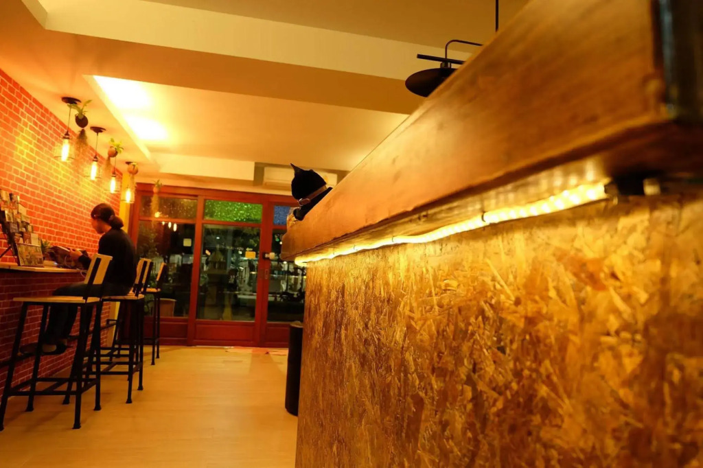 Fellow Hostel