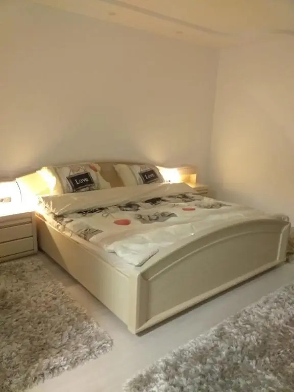 Apartament Central 63