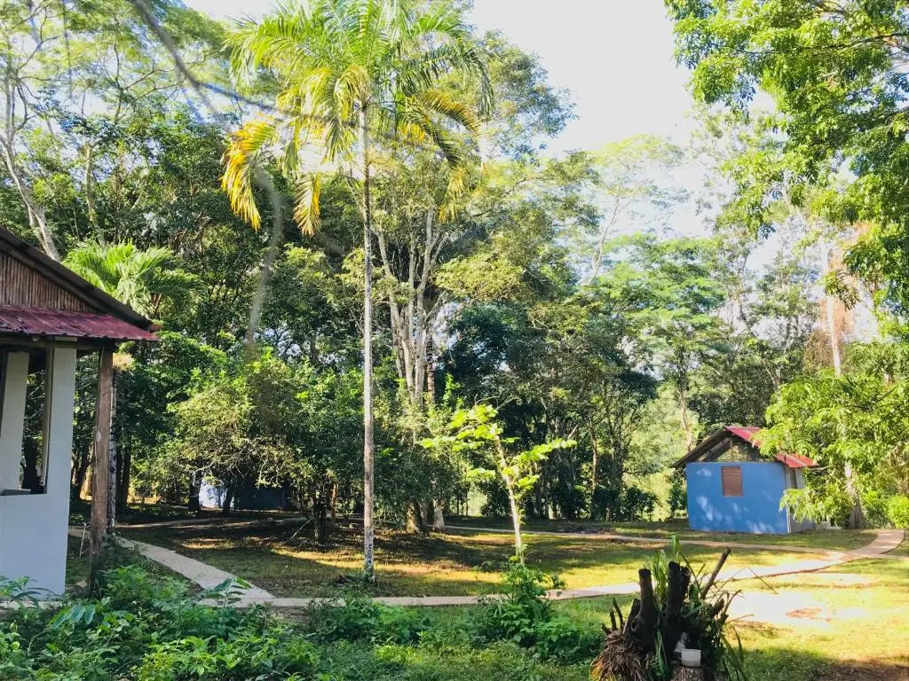 Mango Walk Inn