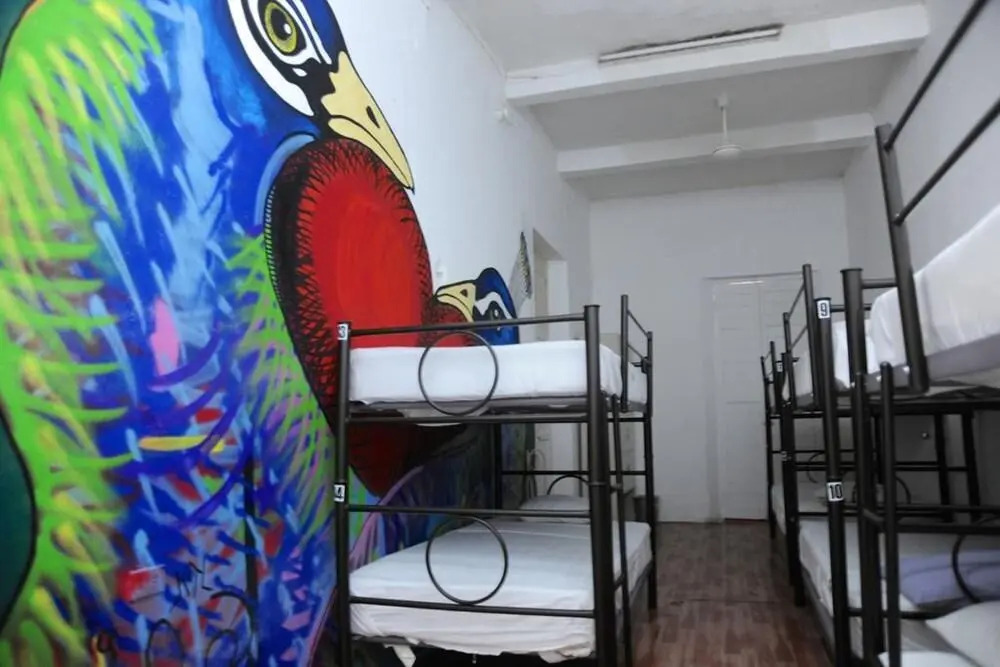 Siesta Fiesta Hostel