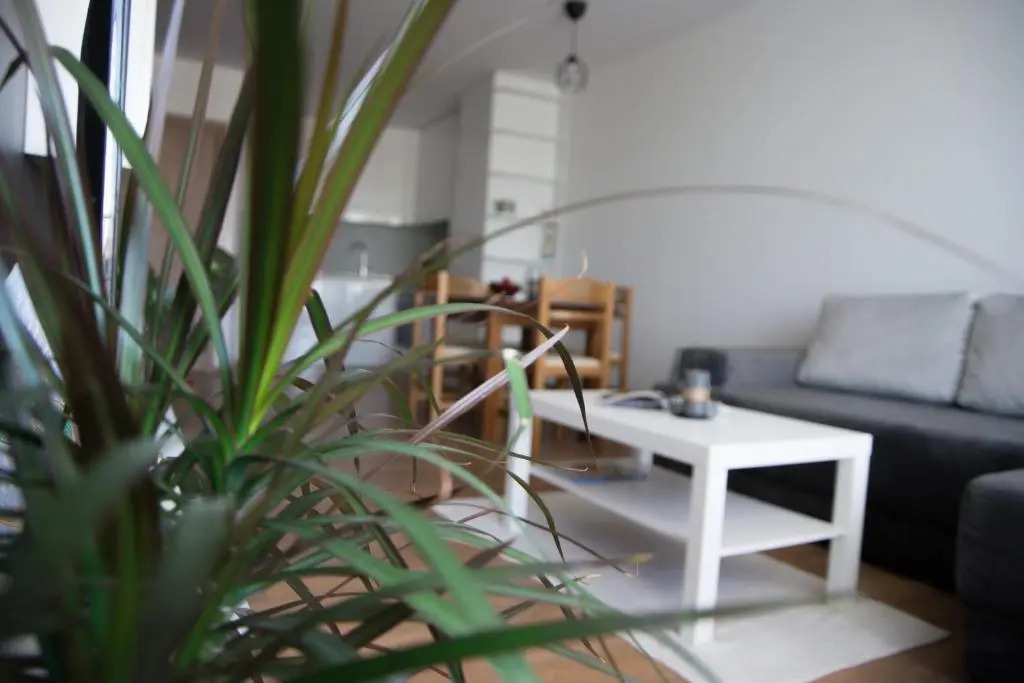 Apartament Intense