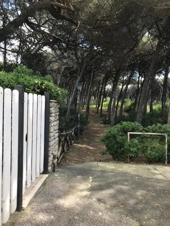 Il Pinolo 2