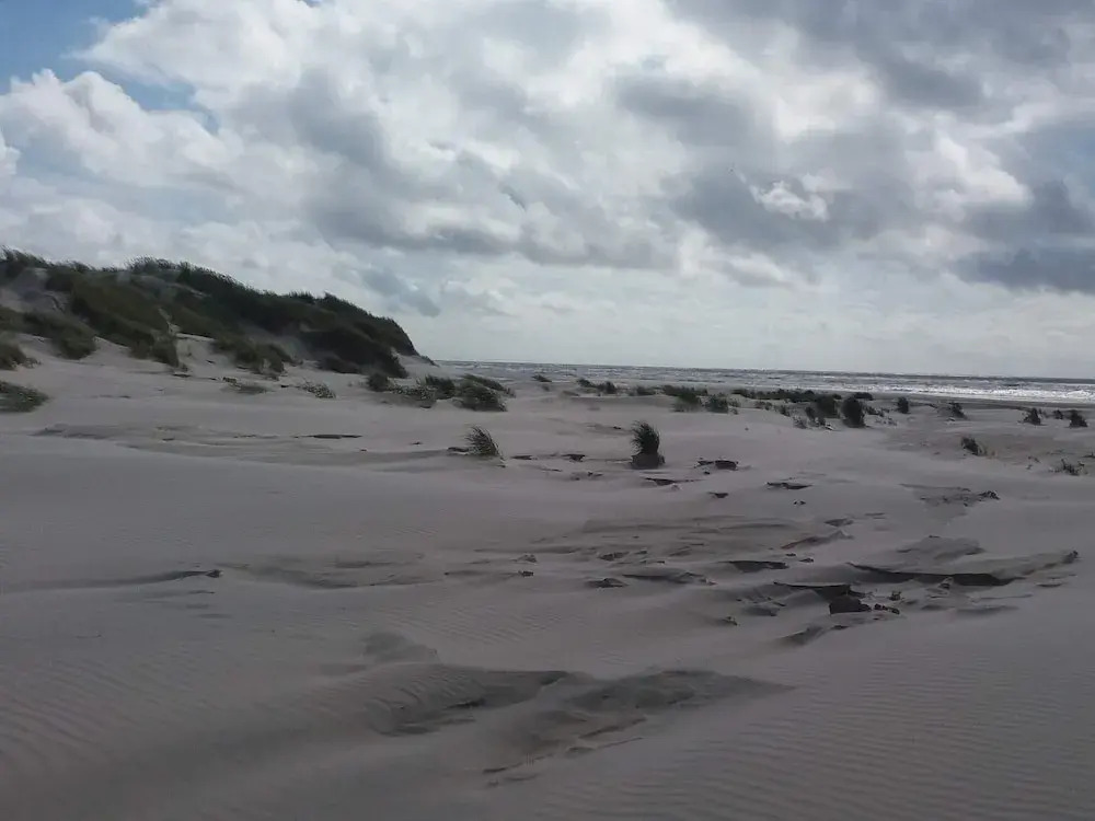 5 Star Holiday Home in Vejers Strand