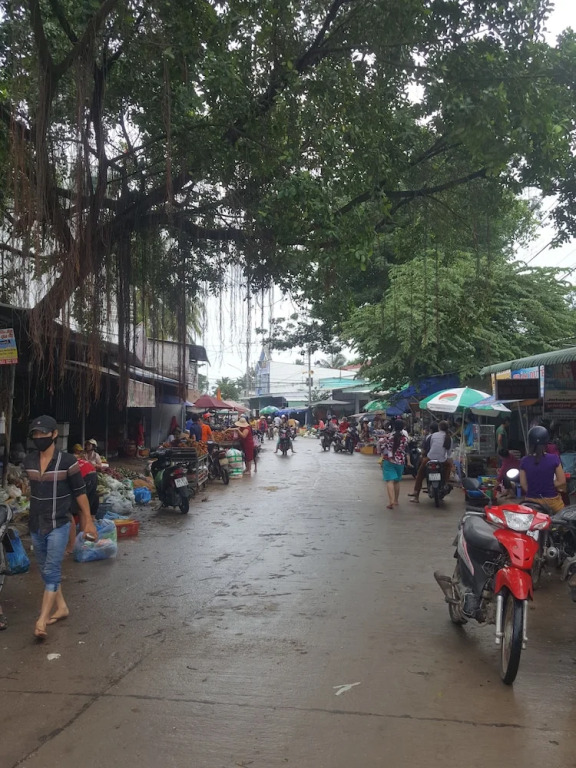 Phú Quốc Dumbo Bungalows