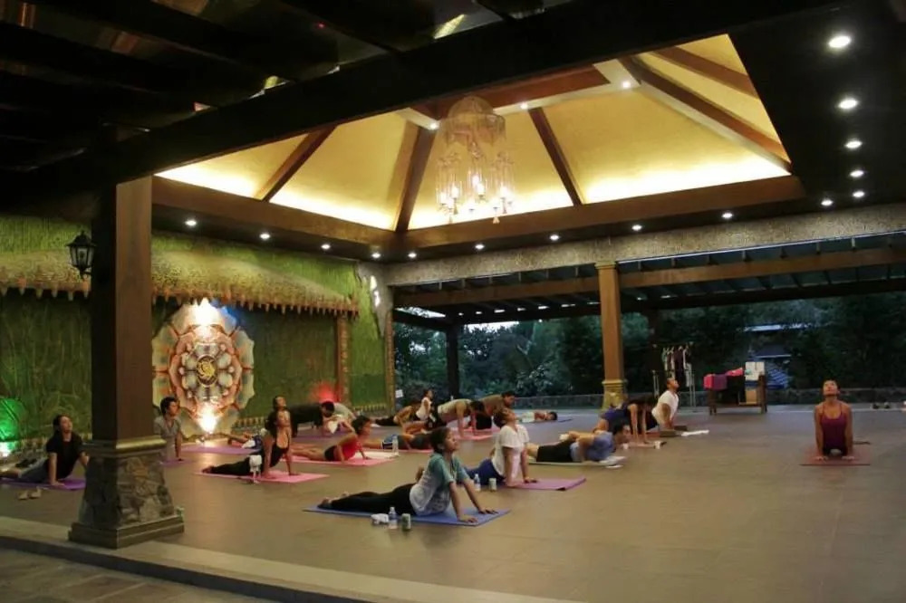 Cintai Coritos Garden