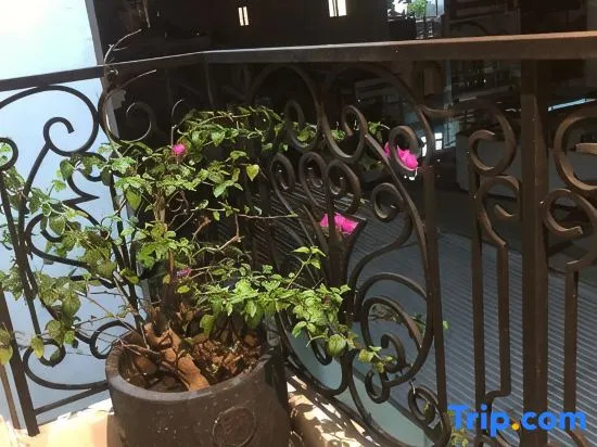 My Stay Hotel & Apartment