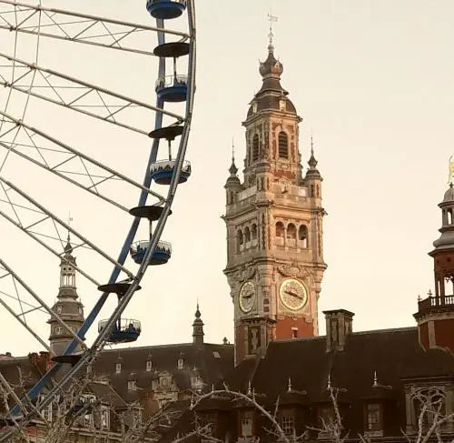 Lille Centre Ville, Beaux Arts et Grand Palais, Bienvenue