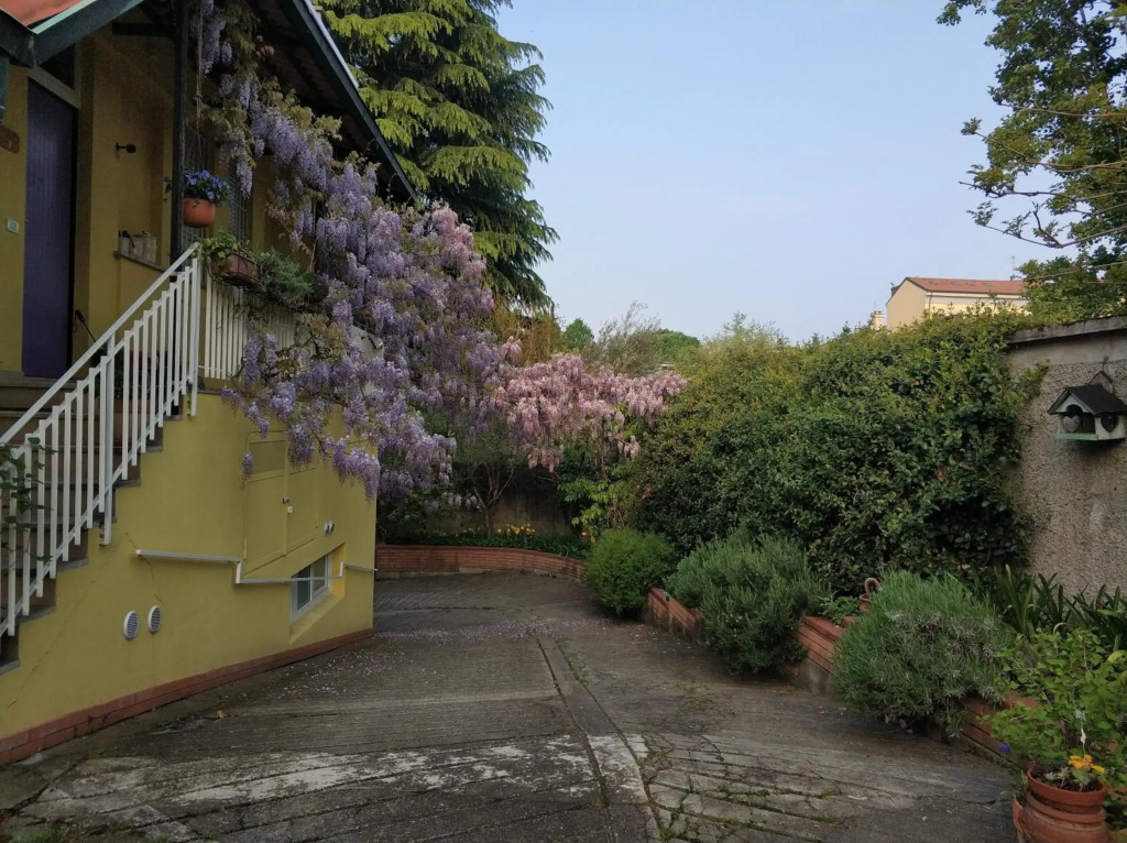 Loft Sottolalbero