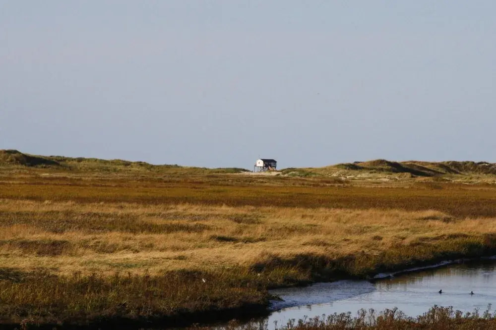 Reihenhaus, St. Peter - Ording