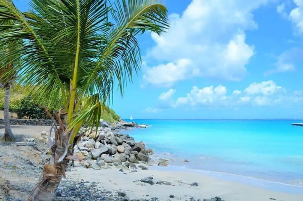 Apartment With one Bedroom in Goyave, With Wonderful Mountain View, Enclosed Garden and Wifi - 2 km From the Beach