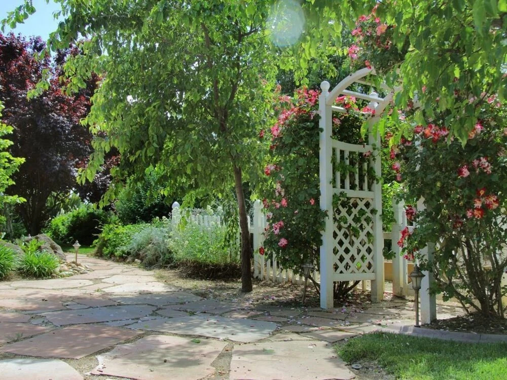 Pinot Noir Cottage