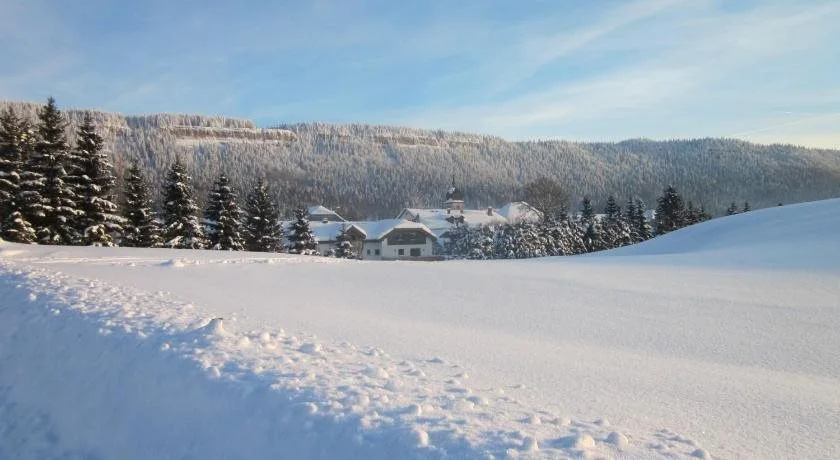 Logis Hôtel Les Bruyères