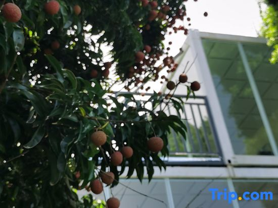 Taishan Yuhaixin homestay