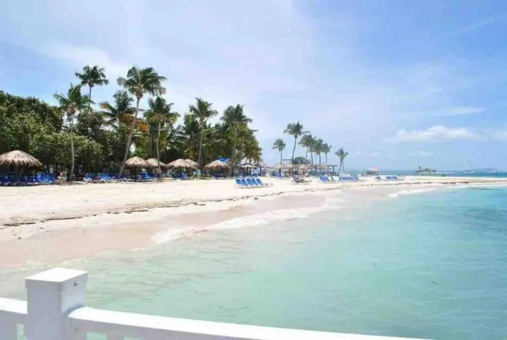 Palomino Island View