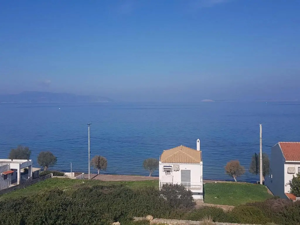 4 Ambelia paradise