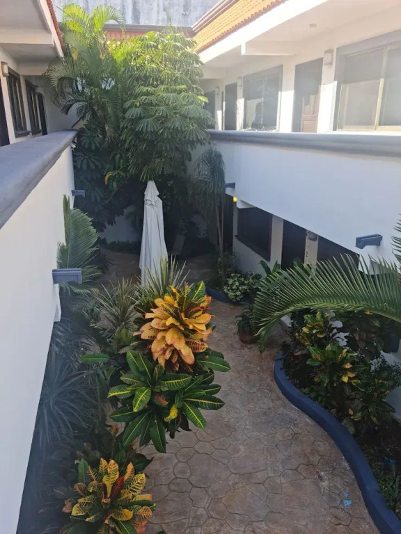 TJ Apartments, Calle 6, PDC