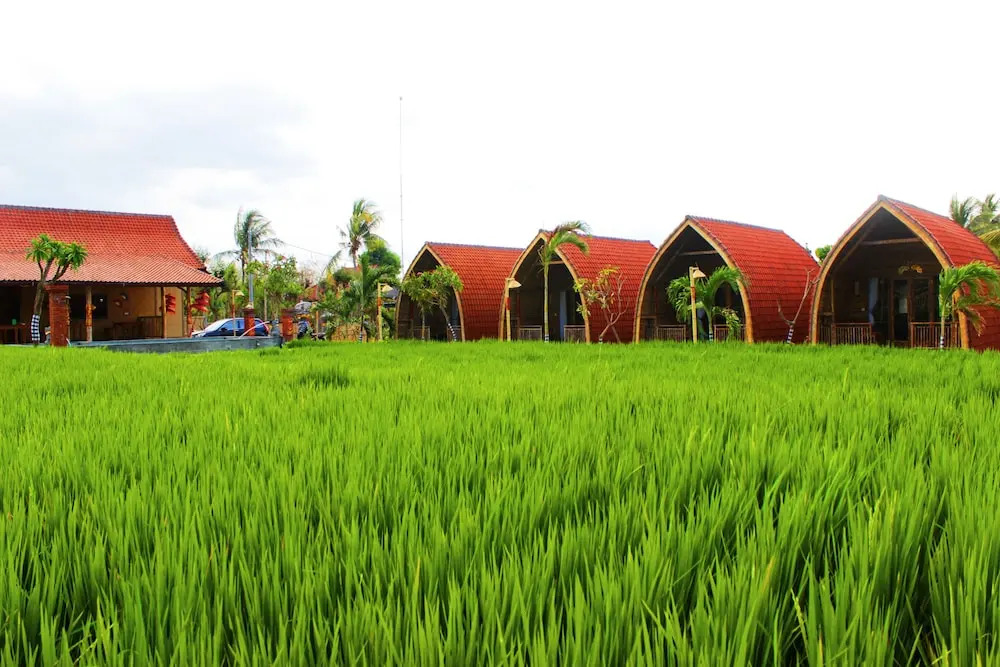Umma Bali Menjangan Retreat