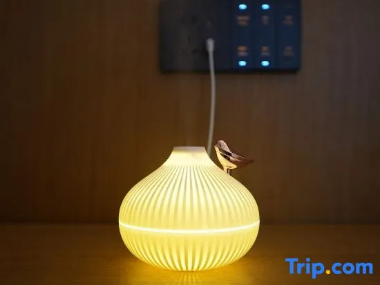 TRUE GO Hotel (Shijiazhuang Chang'an Wanda Jianhua City Plaza)
