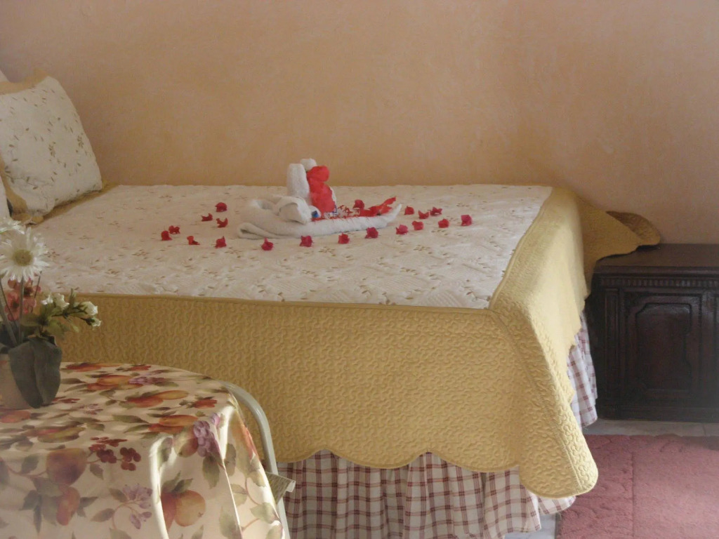 Executive Shaw Park Guest House