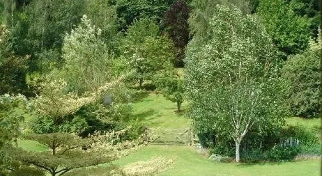 Mount Pleasant Lodge