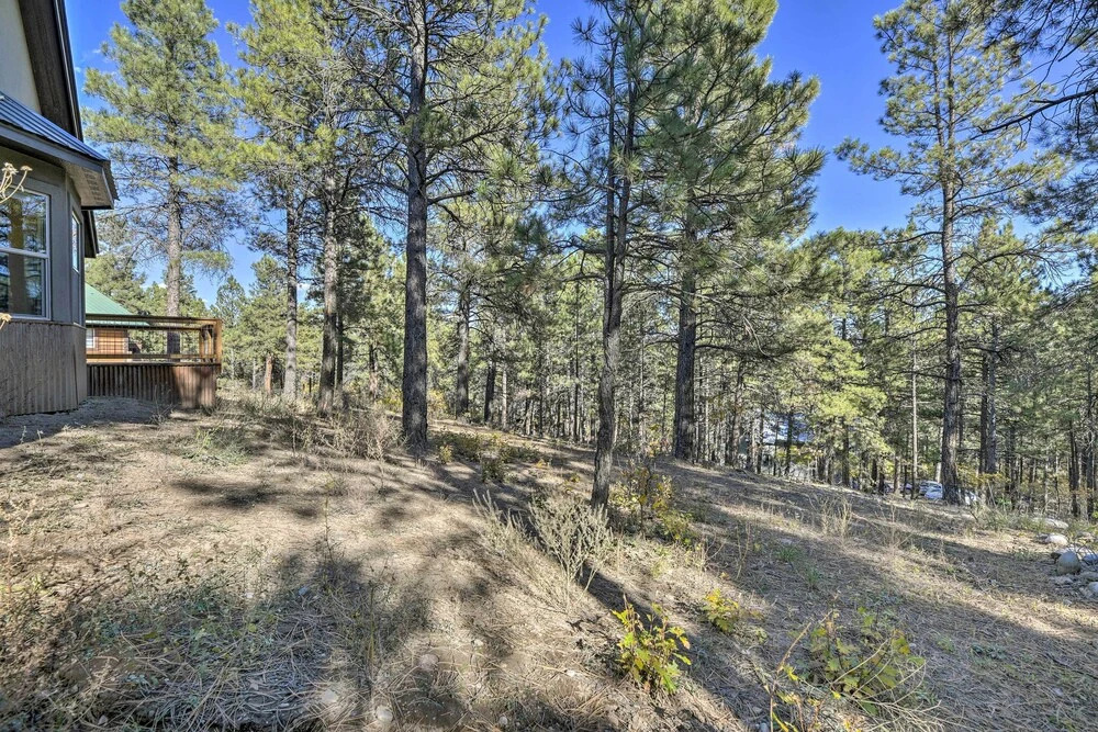 Pagosa Springs Retreat ~ 6 Miles to Hot Springs!