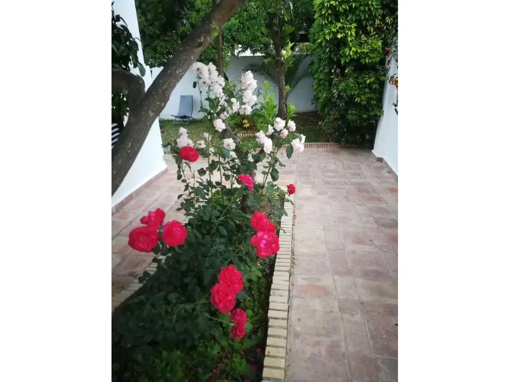 Hostal Frasquita