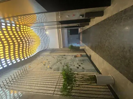 Wanda Yi Yangxin
