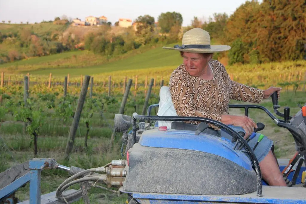 Agriturismo San Michele