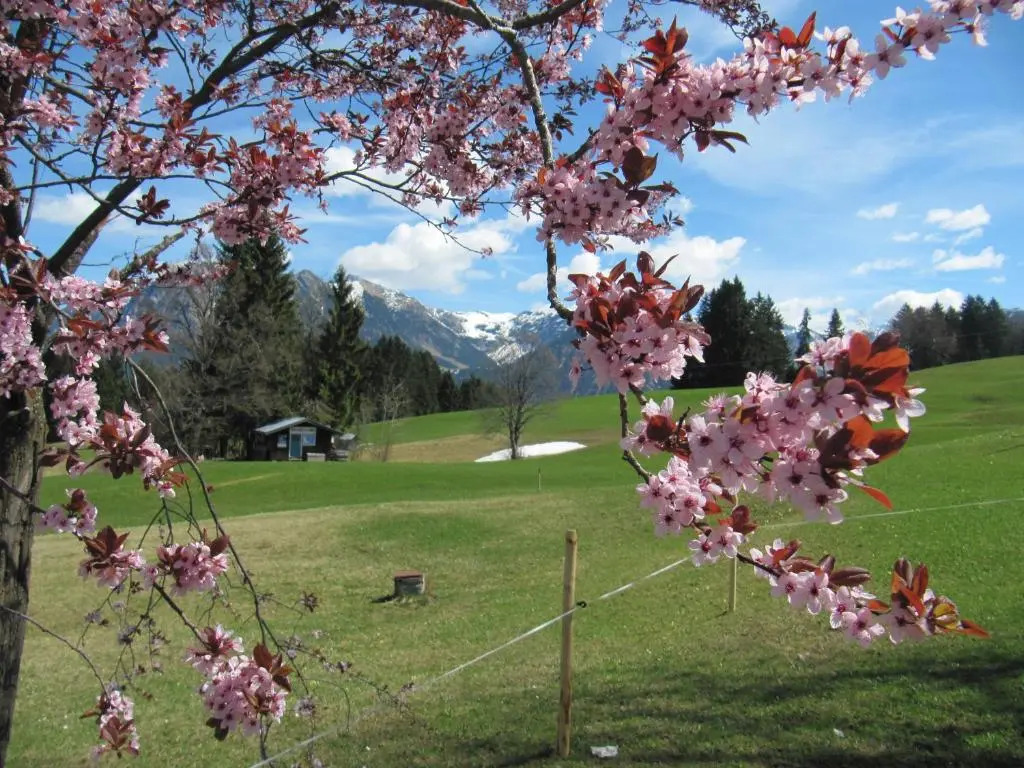 Gasthof Seeweg