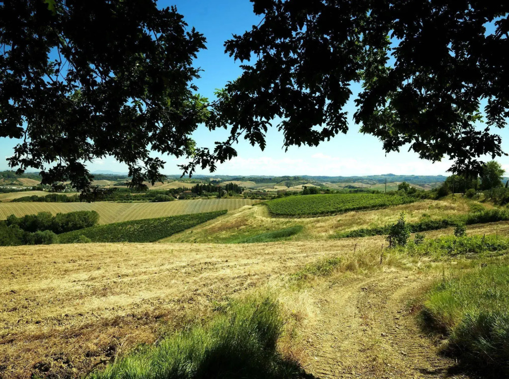 Fattoria Primavera