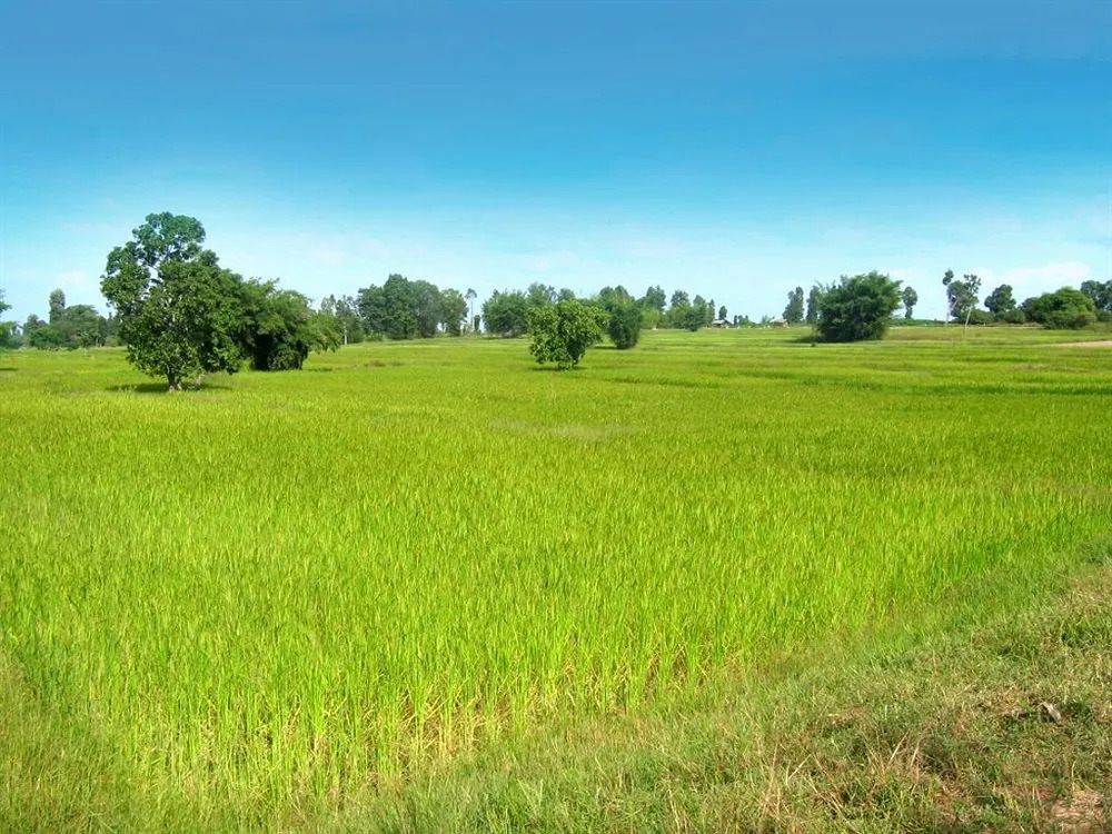 Assaradevi Villas & Spa
