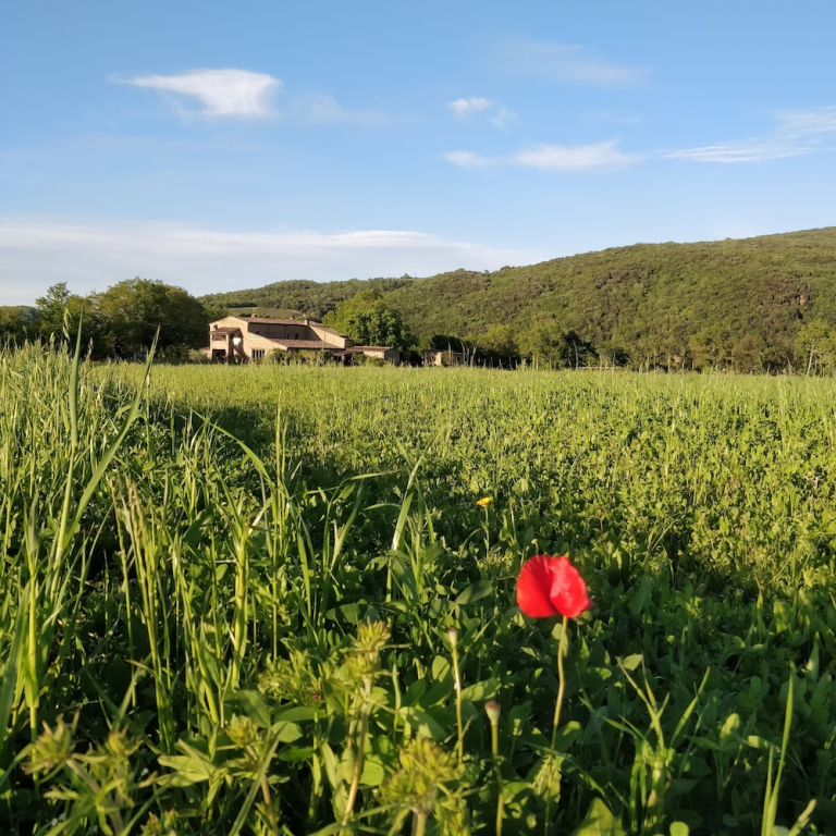 la Casa - Agriturismo With Pool Between Siena and Grosseto