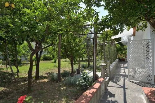 Bed And Breakfast 3 Stars Minori