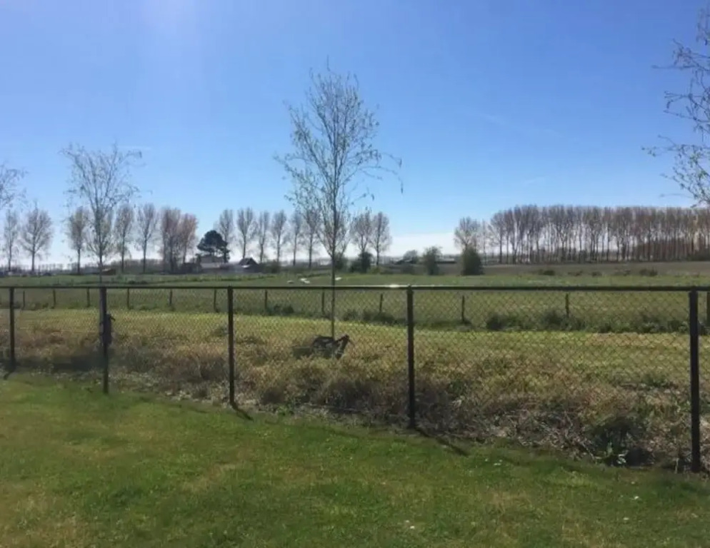Pet-loving Stay With Garden