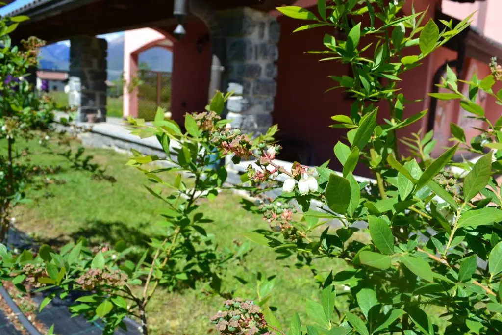 Foresteria Villa Simona