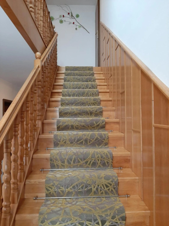 Apartmaji Tisa
