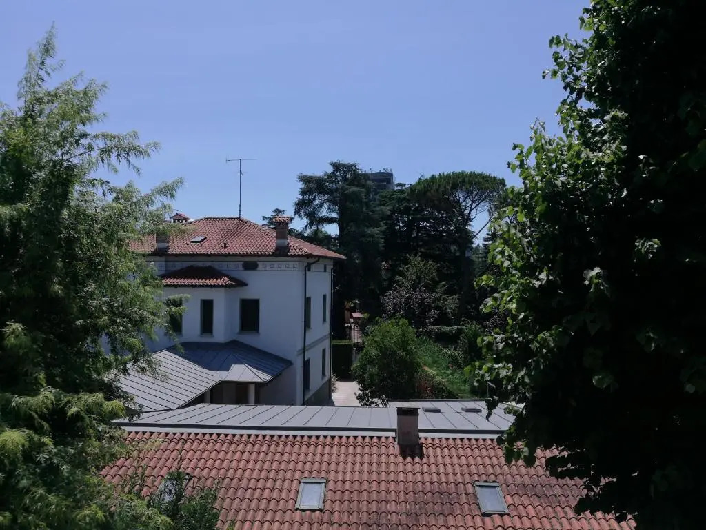 I Cedri