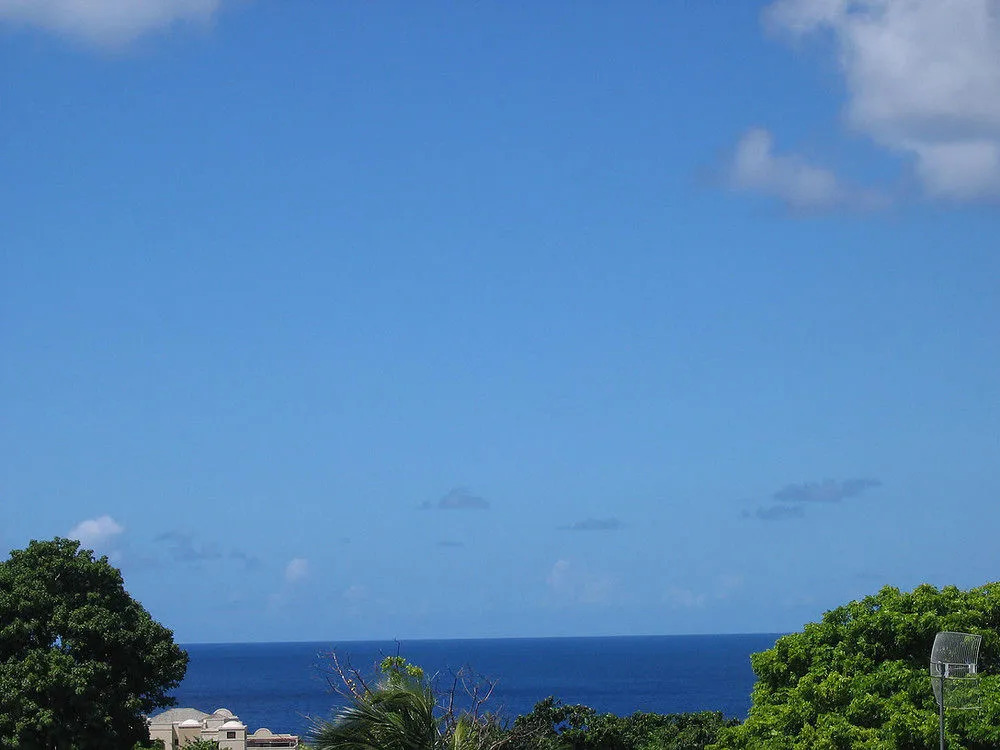 Palm Paradise Guest House and 2 Apartments