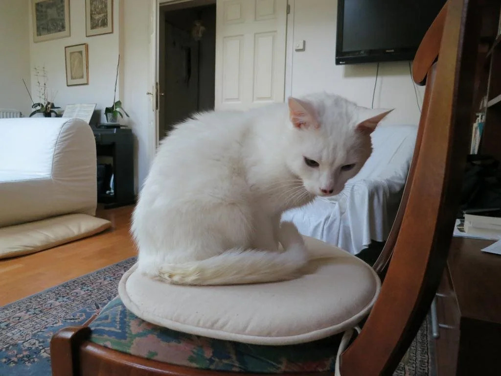 Bed and Breakfast Bolero