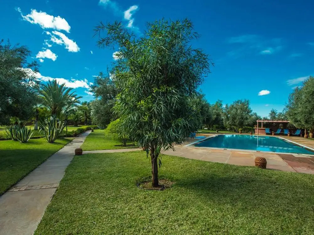 Villa les Oliviers 2 Bedrooms - A Setting of Tranquility