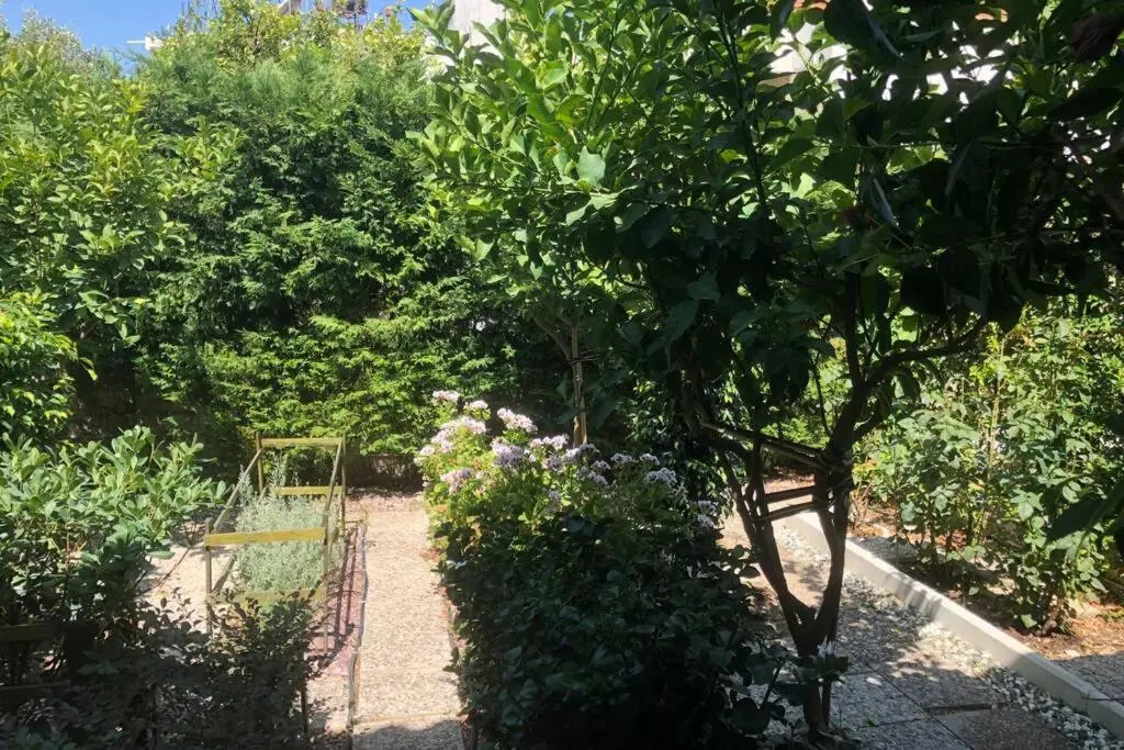 ΑΝΑΚΑΙΝΙΣΜΕΝΗ ΜΟΝΟΚΑΤΟΙΚΙΑ στο κέντρο της πόλης με κήπο