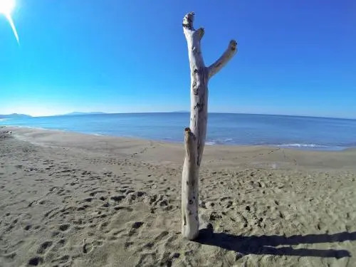 Alberese Vacanze