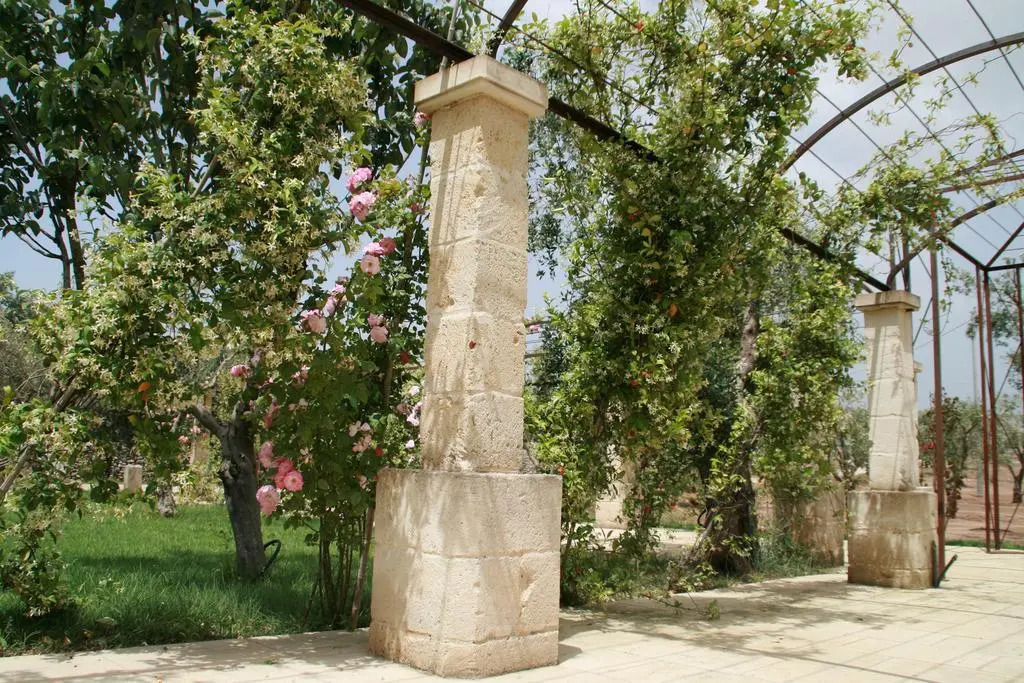 LEcce Sphero