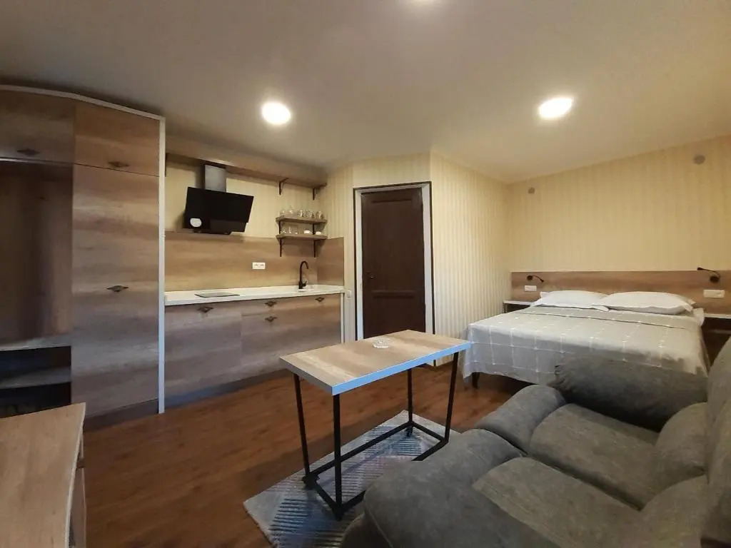 Apartment borjomi, Erekle street, 21A