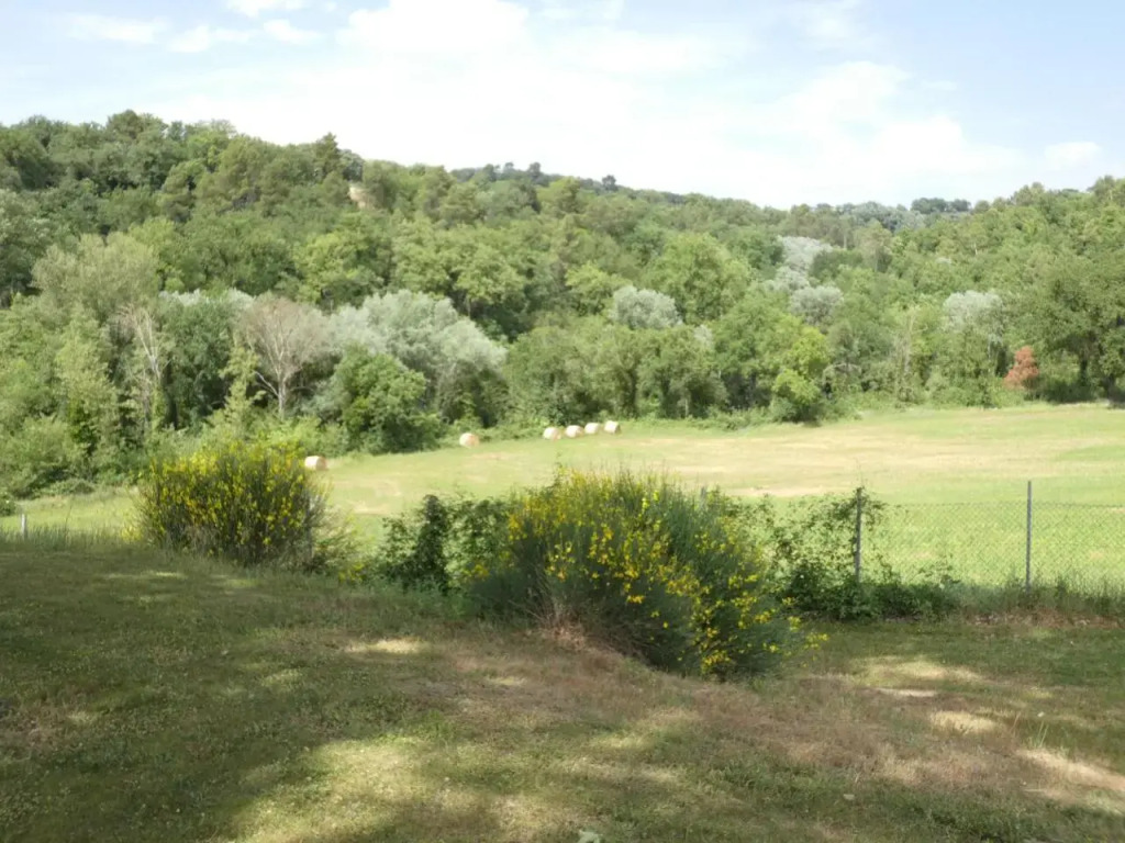 SCAPPO IN UMBRIA, La cantinetta