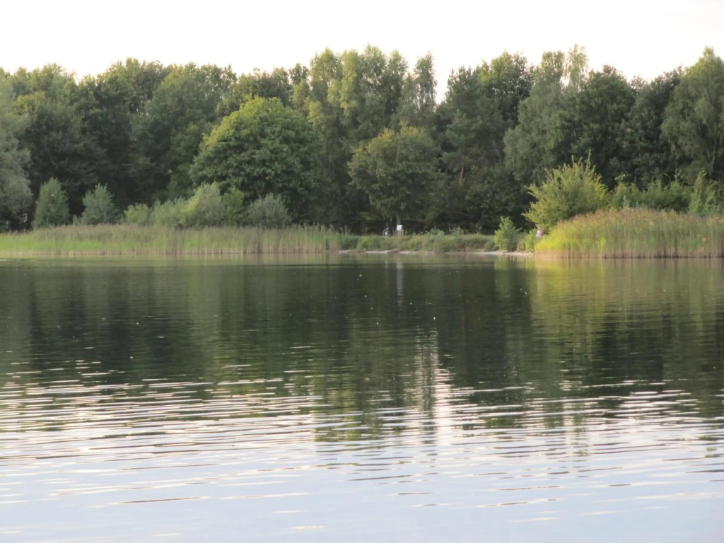 Buchenweg 39a