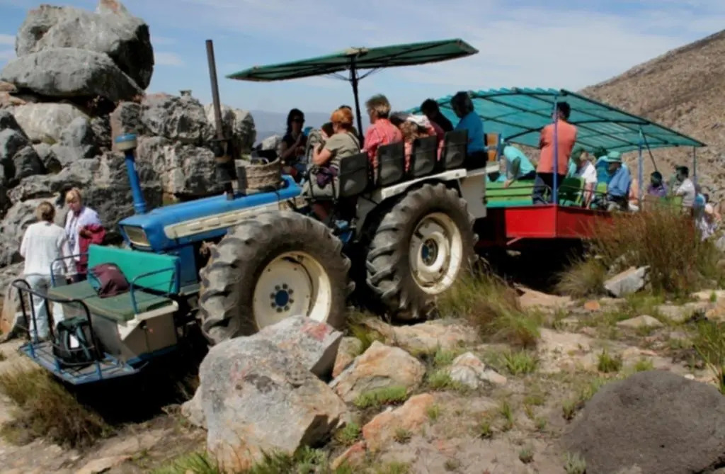 Montagu Koo Karoo