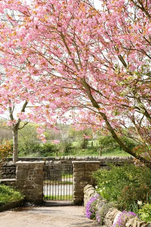 Capernwray House
