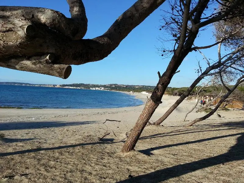 Case Vacanza Rivabella